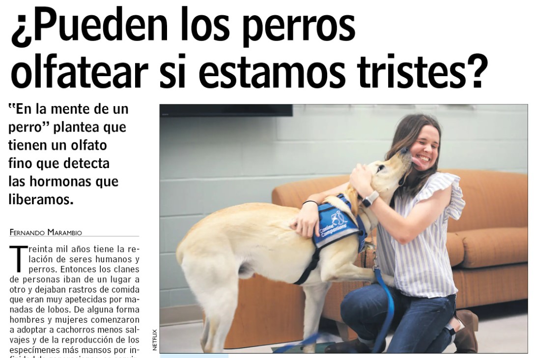Los Perros Macial Beltrami
