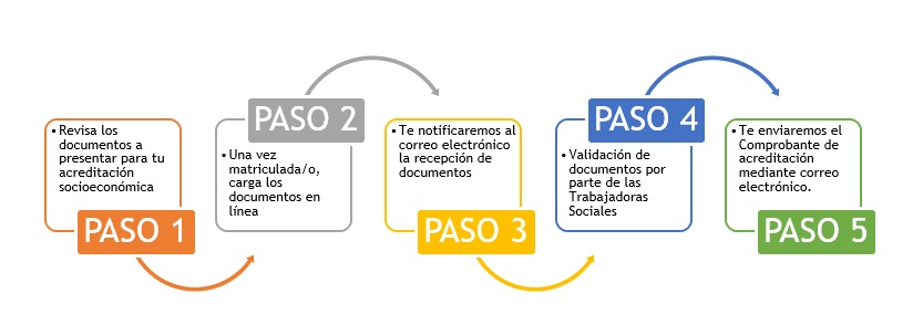 Paso a paso 2024