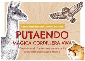 web20